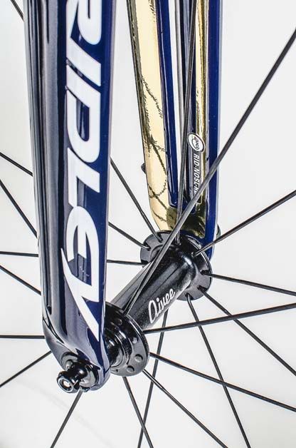 Gold accents on the inside of the forks