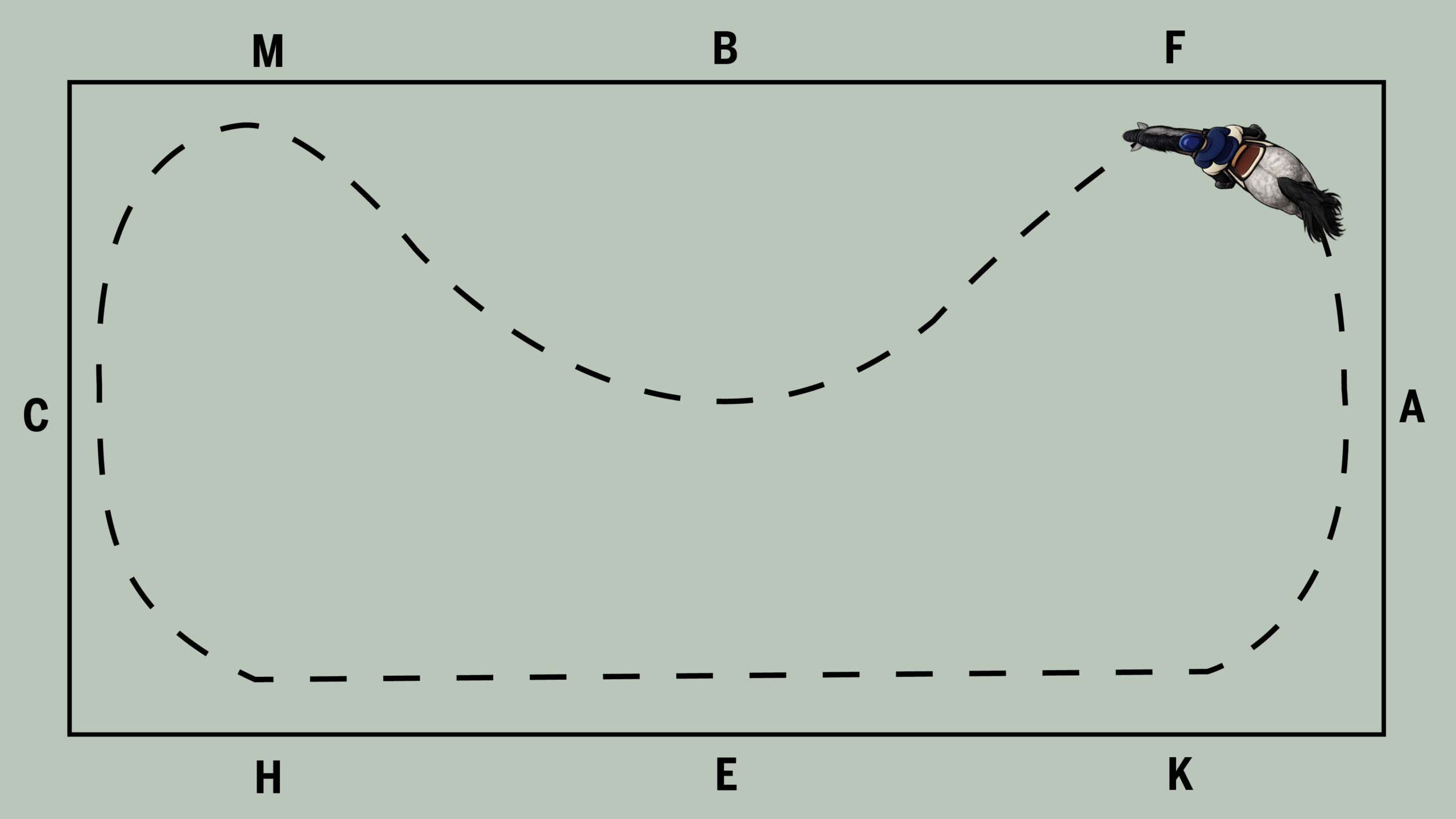 Diagram of a long 20x40m arena with a dotted line showing a 10m loop