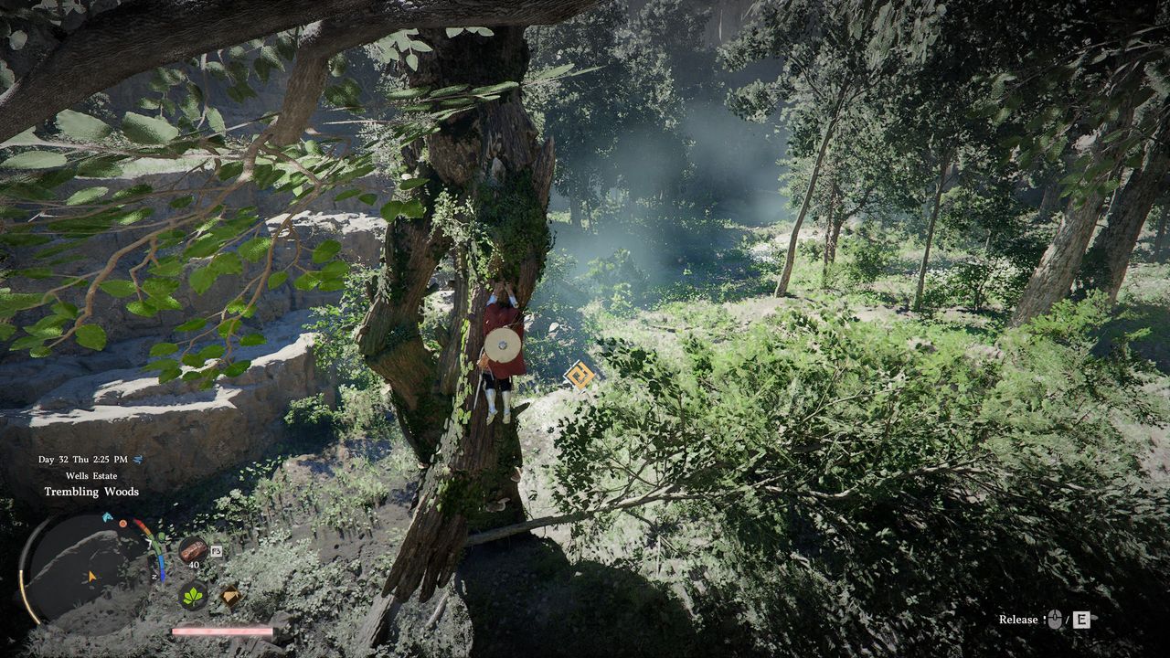 Crimson Desert Florindale - Climbing the walking tree