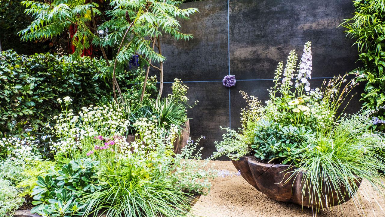 oversized garden planters on a sandy patio