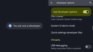 The message saying you're in developer mode, and USB debugging option the the dev menu
