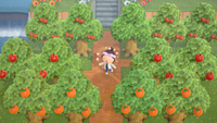 All the Animal Crossing: New Horizons fruit