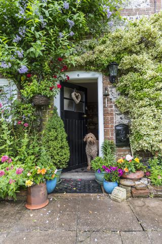 cottage front door with dog