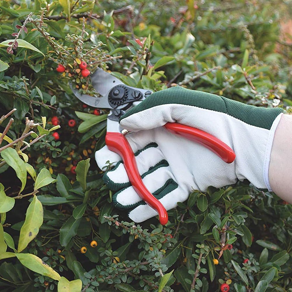 Black Friday garden deals under £20 show your garden some love Ideal Home