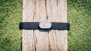 A black and grey Polar H9 heart rate monitor wrapped around a wooden bench, with the focus on the main part of the strap