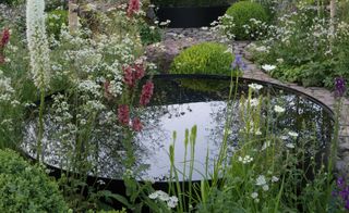 Cottage garden pond
