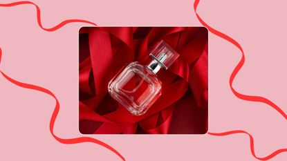 An image of a bottle of perfume sitting on a bed of red ribbon, to illustrate gifting perfume