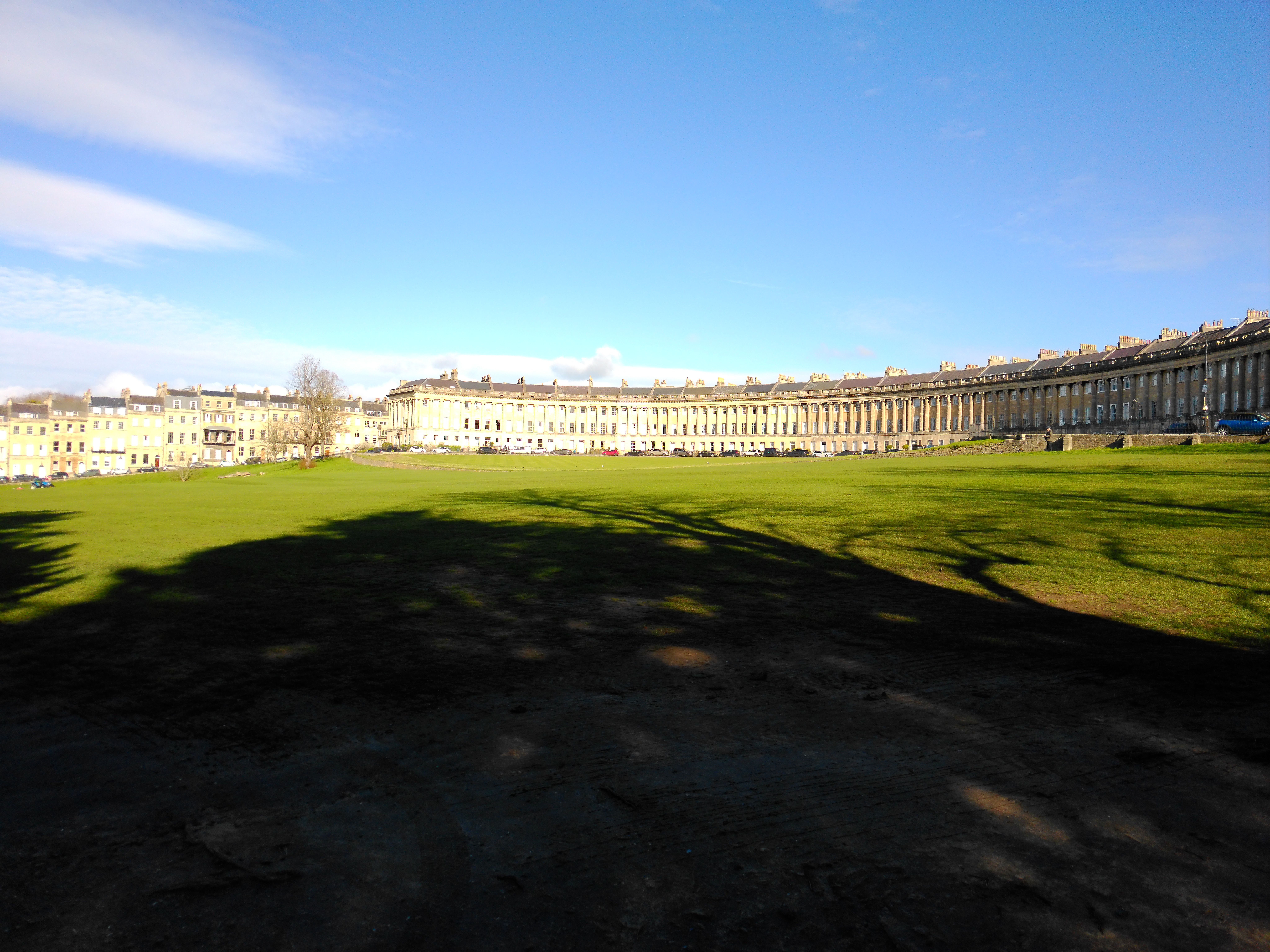 Yashica FX-D S300 sample shot