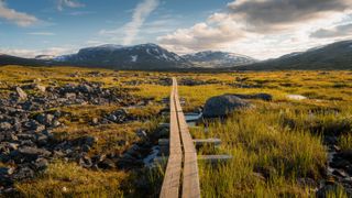 a wooden path made of two wooden planks stretches out through a rugged swedish landscape with snow capped mountains in the distance.