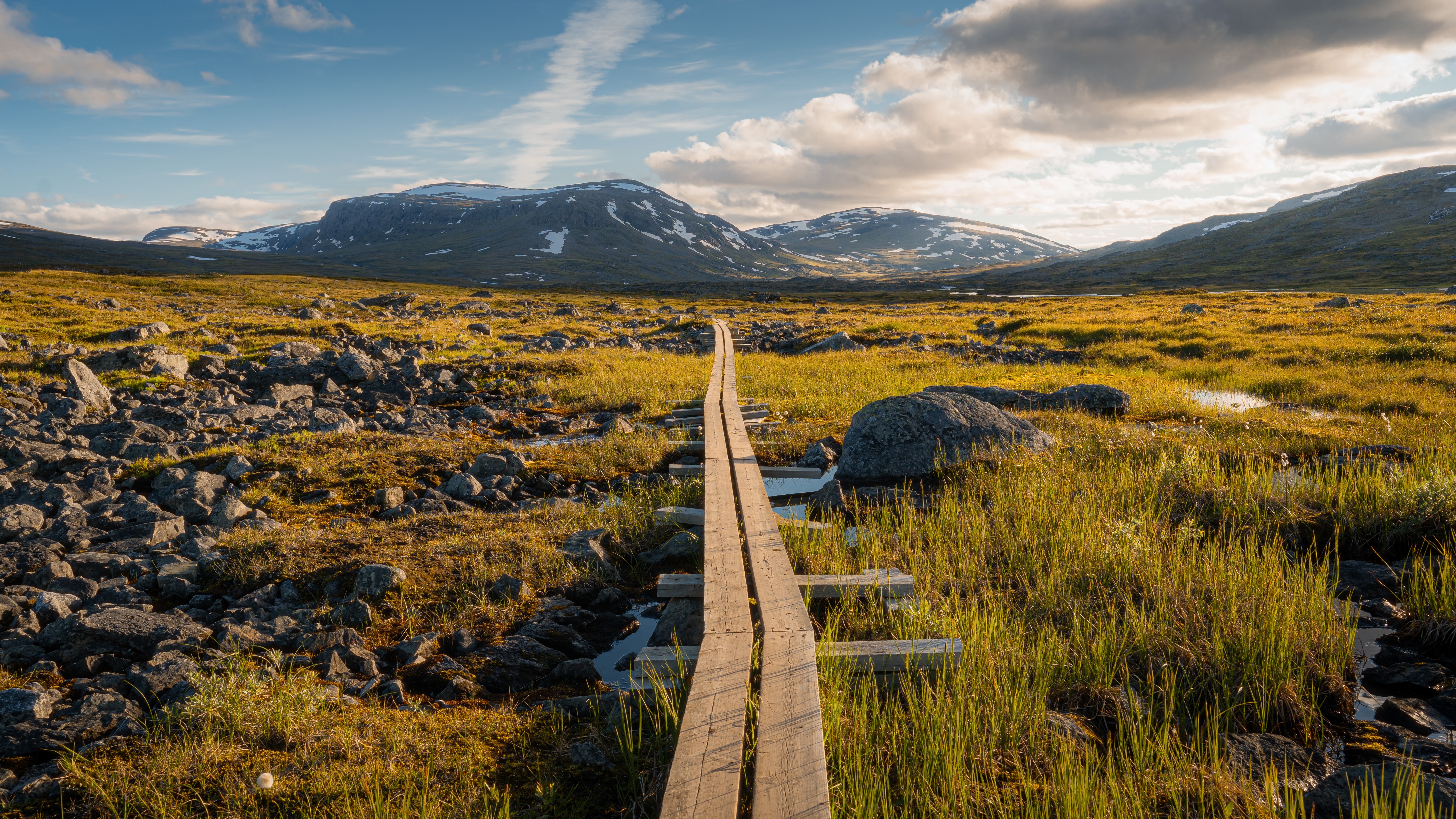 a wooden path made of two wooden planks stretches out through a rugged swedish landscape with snow capped mountains in the distance.