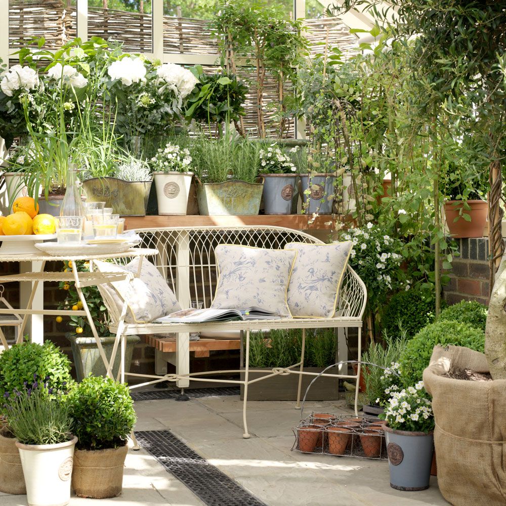 Conservatory plant ideas the best plants for a garden room Ideal Home