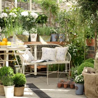 Conservatory filled with potted plants and metal sofa