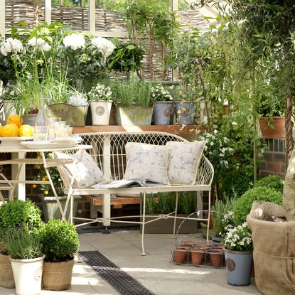 Conservatory plant ideas – the best plants for a garden room | Ideal Home