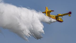 Italy's fire and rescue service dumped water from planes to douse the flames in Etna regional park.