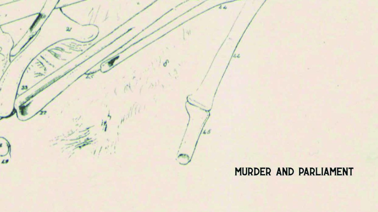 Tom Slatter - Murder And Parliament album artwork