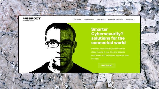 webroot vpn protection