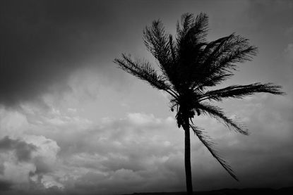 Hawaii braces for Tropical Storm Ana's winds and rain