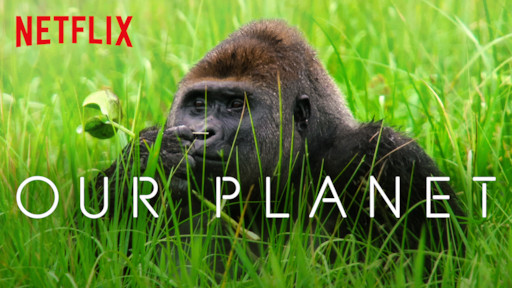Netflix's top documentaries are now available for free on YouTube