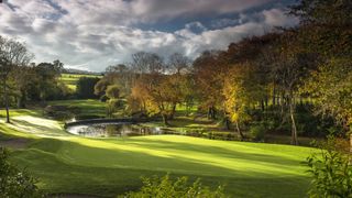 Druids Glen - Hole 8