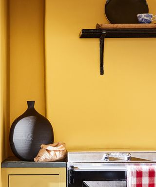 Yellow paint in a kitchen with dark accessorises