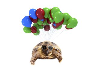 Tortoise wearing aviator glasses flies with the aid of many balloons