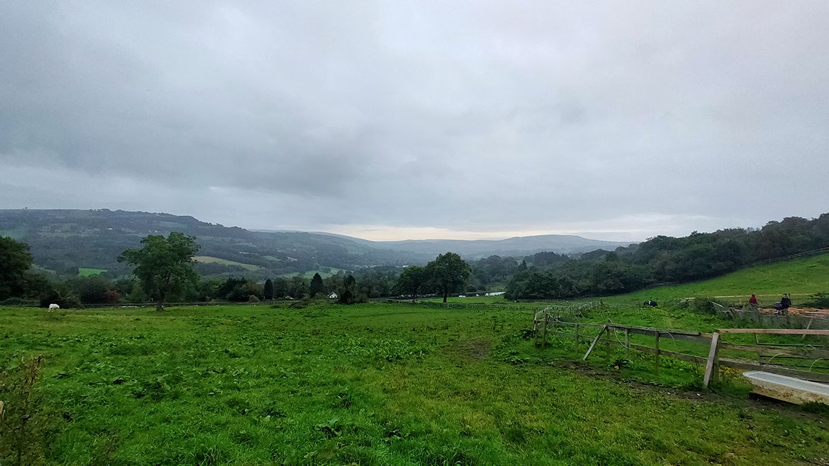 Oppo Reno 10x Zoom camera sample