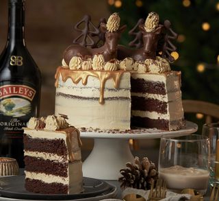 Bailey's chocolate cake