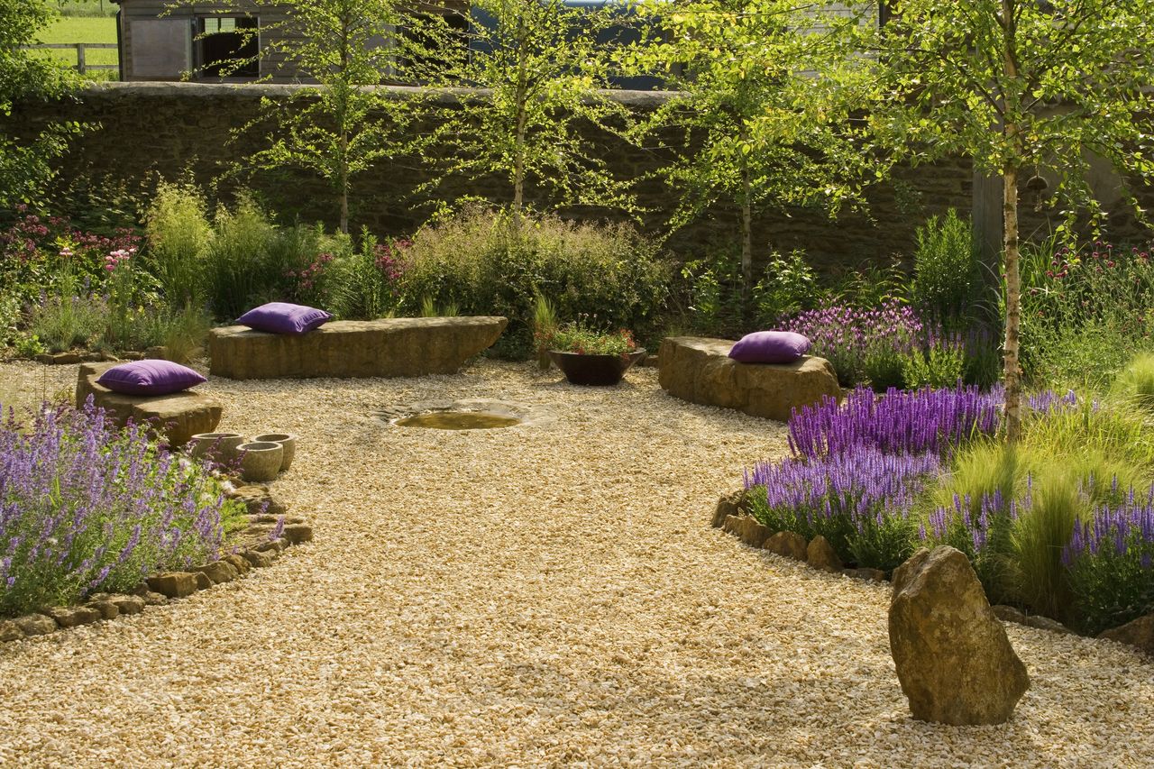 A gravel garden decorated with grasses and purple lavender