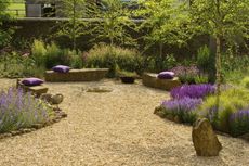 A gravel garden decorated with grasses and purple lavender