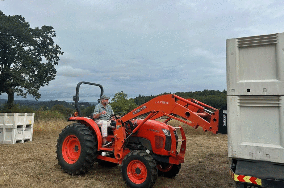 Image of a tractor loading bins of grapes at harvest.