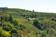 Piedmont travel guide