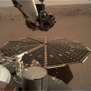 The Instrument Deployment Camera aboard NASA's InSight lander took this photo of one of the lander's 7-foot (2.2 meters) wide solar panels.
