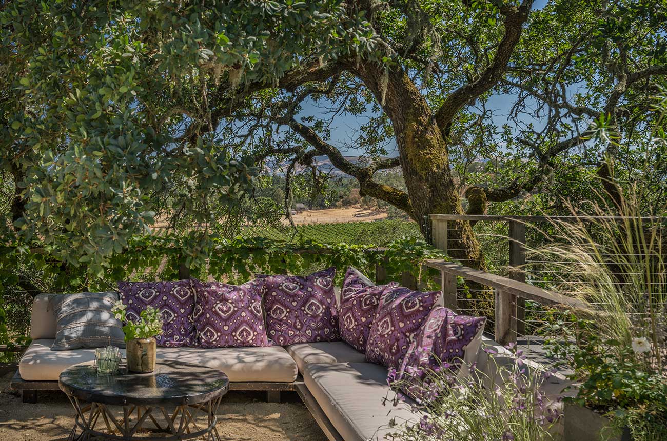 luxury sonoma vineyard property listed by Sotheby's and Carol Sebastiani