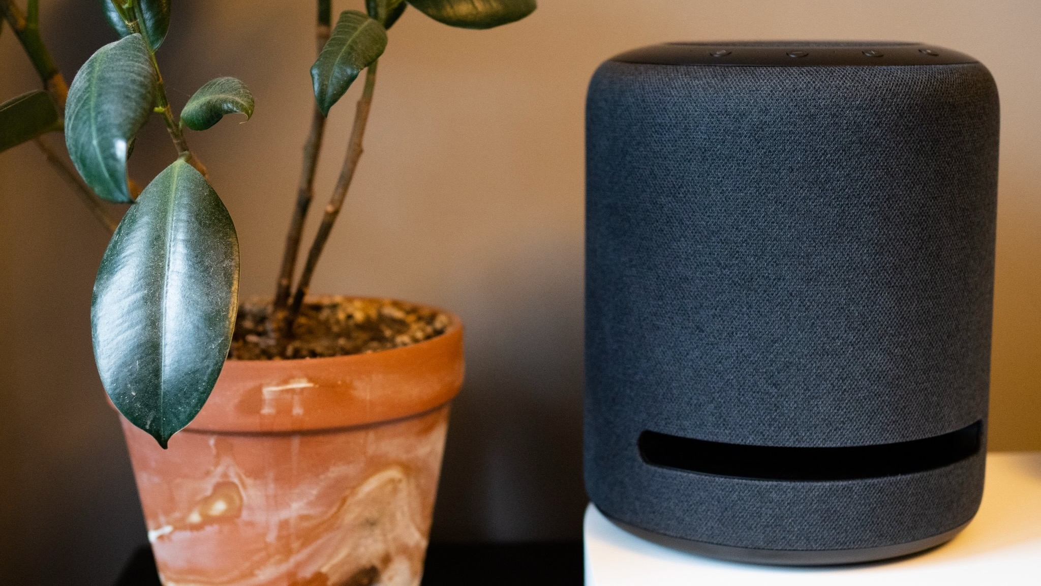 Amazon Echo Studio sitting on table next to plant