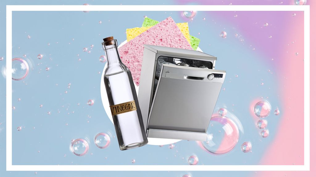 How to clean a dishwasher with vinegar Real Homes