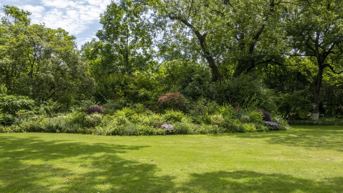 Comment tuer les mauvaises herbes dans votre pelouse 