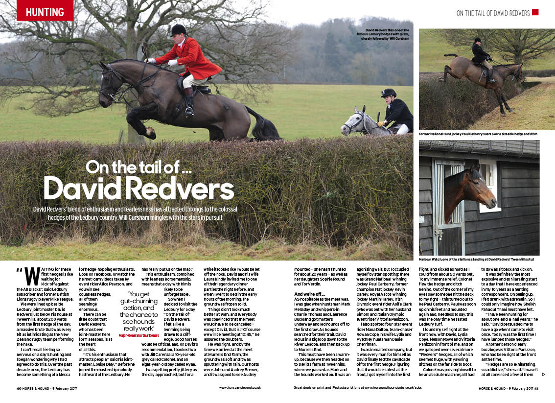 HH-hunting-report-OTTO-David-Red.jpg