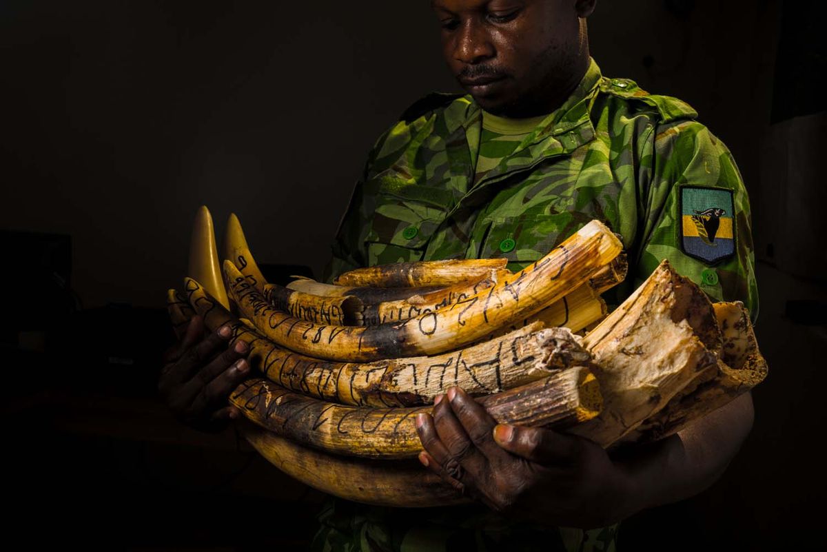 GDT European Wildlife Photographer of the Year 2023
