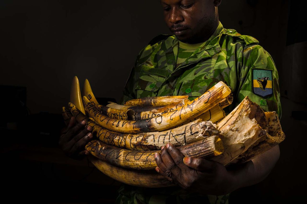 GDT European Wildlife Photographer of the Year 2023