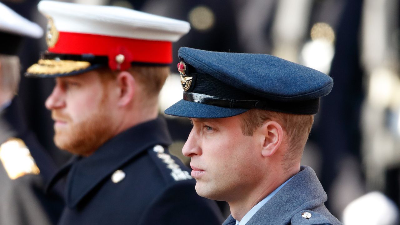 Prince William, Prince Harry