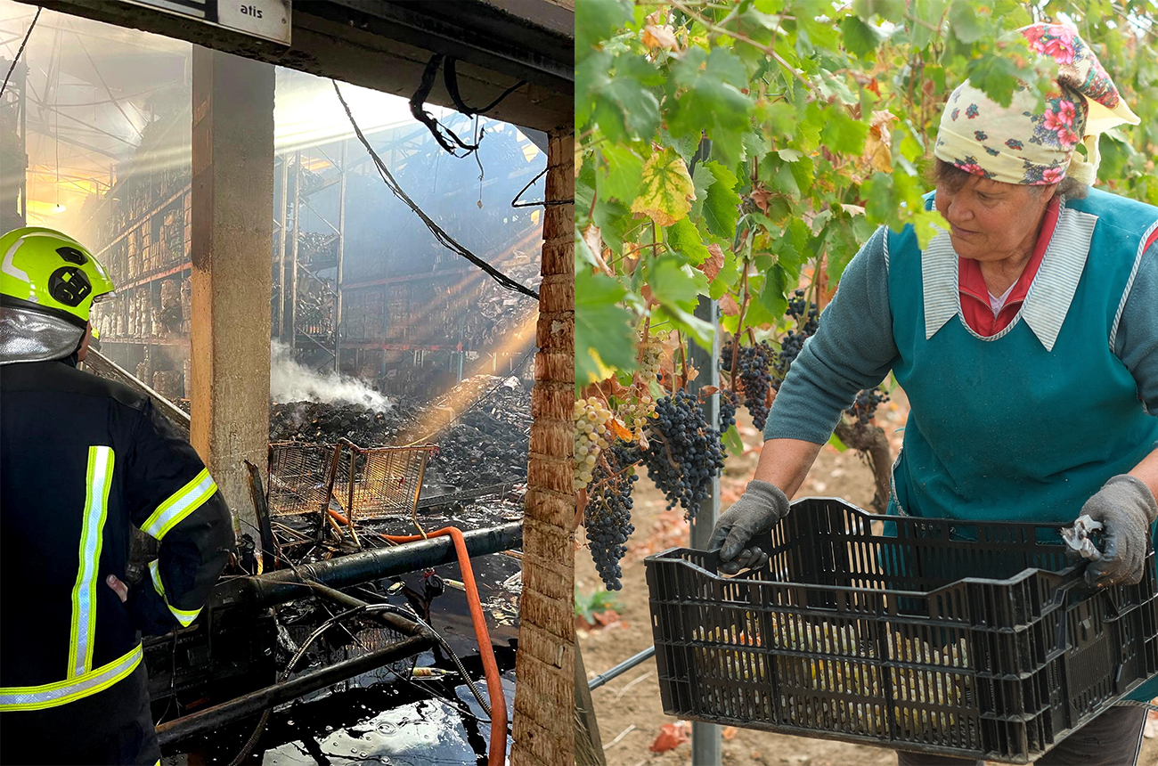 Left: Pilot&rsquo;s Wines&rsquo; Kyiv warehouse after being hit by a Russian missile attack. Right: Harvest season in Ukrainian vineyards