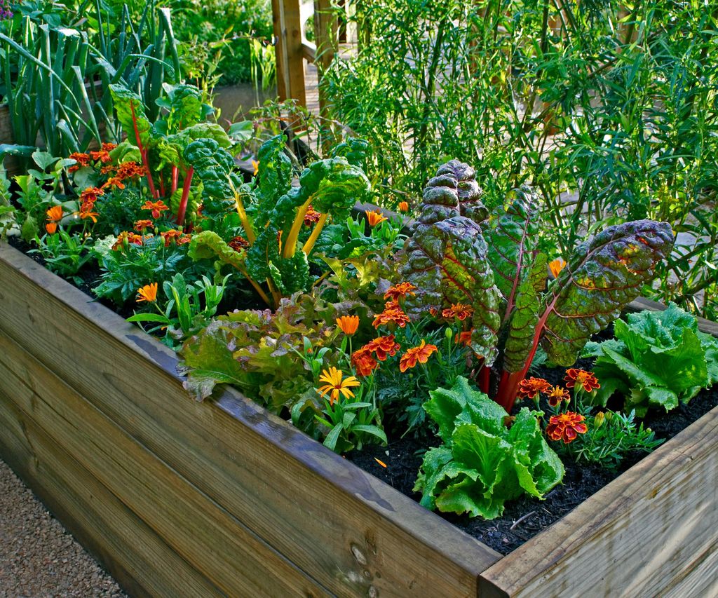 Where is the best place to put a raised garden bed?