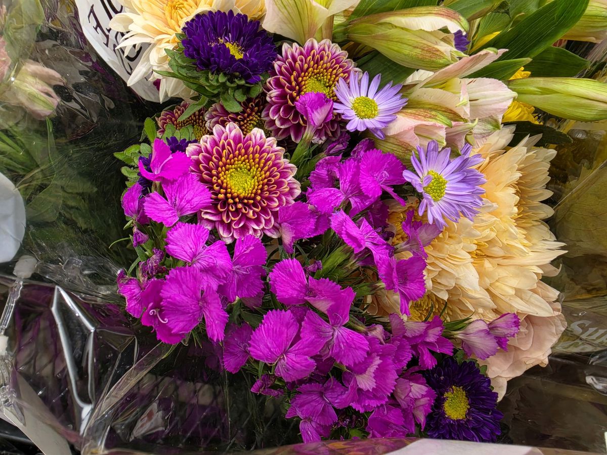 Samsung Galaxy S26 Ultra camera sample.