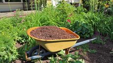 Mulching a flower bed with a wheelbarrow of mulch