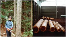 Faye Toogood working with Cedarwood in Japan