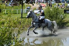 SwallowspringsHorse-No-493_BarburyHT_PN19_36600.jpg