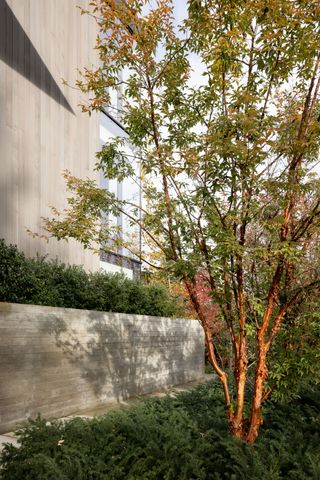 Winterfell, Whistler, by Openspace Architecture and Donohoe Living Landscapes