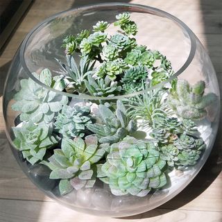 Supla 11 Piece Mini Artificial Succulents