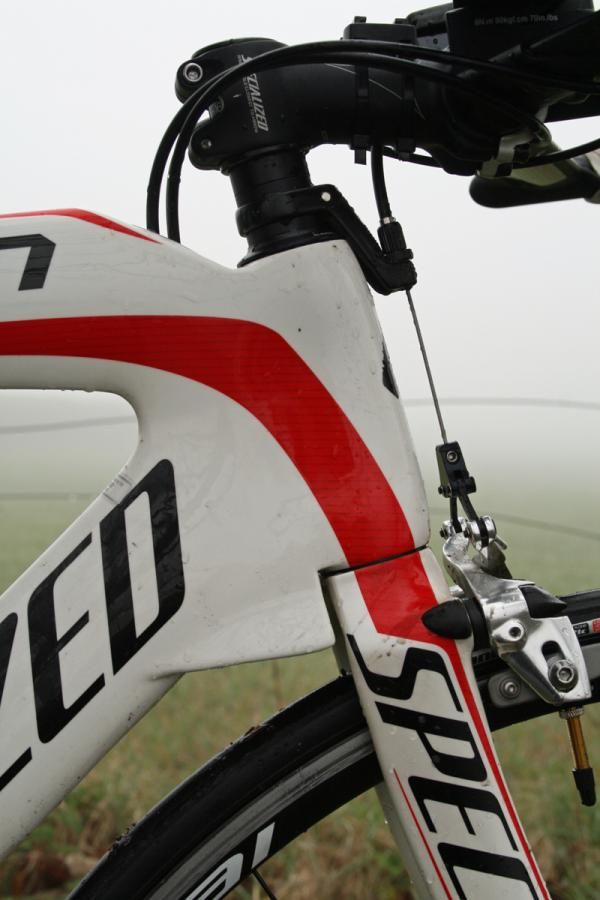 Specialized Transition Expert