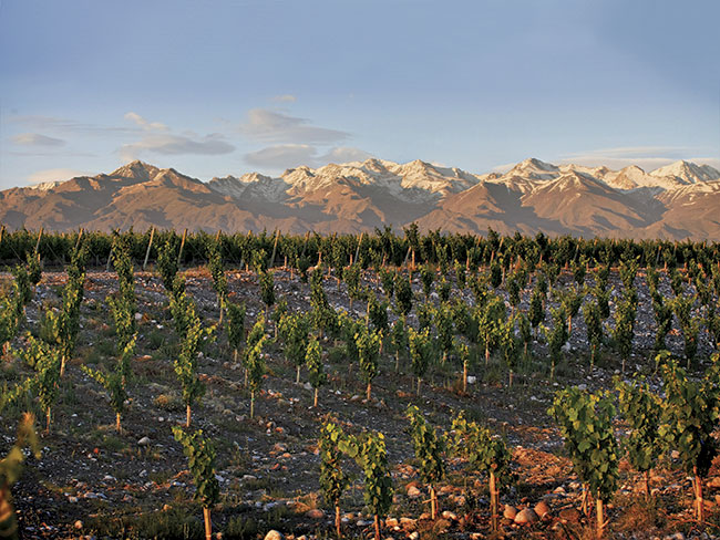 October 2015: Do&amp;ntilde;a Paula, Finca Alluvia, Gualtallay
